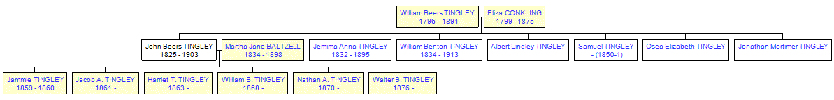 Mini tree diagram