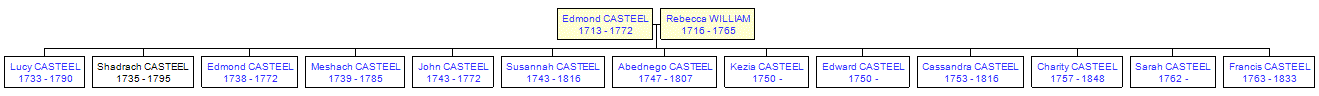 Mini tree diagram