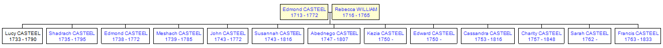 Mini tree diagram