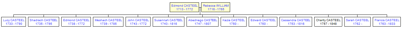 Mini tree diagram