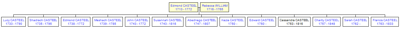 Mini tree diagram