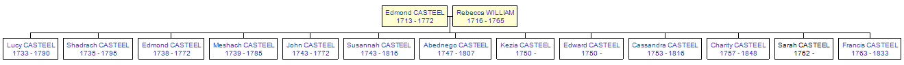 Mini tree diagram