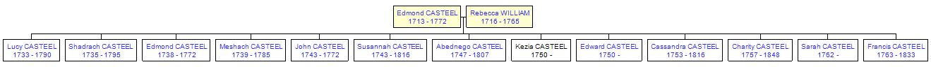 Mini tree diagram