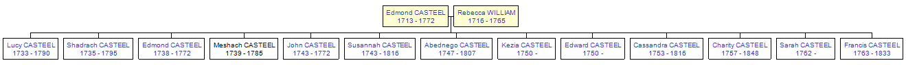 Mini tree diagram