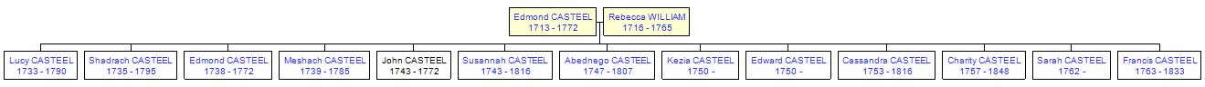 Mini tree diagram