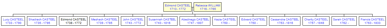 Mini tree diagram