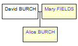 Mini tree diagram