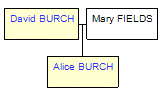 Mini tree diagram