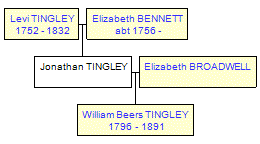 Mini tree diagram