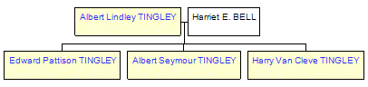 Mini tree diagram