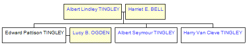 Mini tree diagram