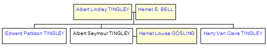 Mini tree diagram