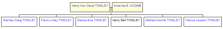 Mini tree diagram