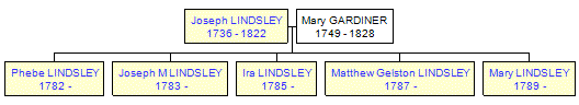 Mini tree diagram