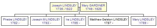 Mini tree diagram