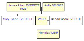 Mini tree diagram