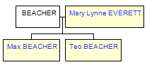 Mini tree diagram