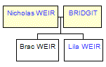 Mini tree diagram