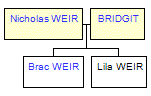 Mini tree diagram