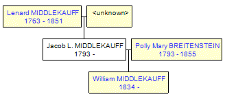 Mini tree diagram