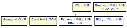 Mini tree diagram