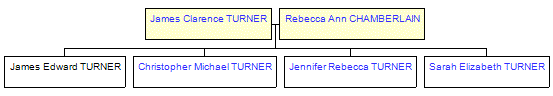 Mini tree diagram