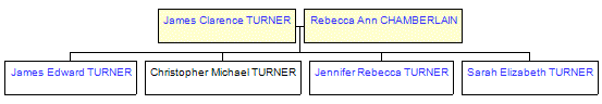 Mini tree diagram