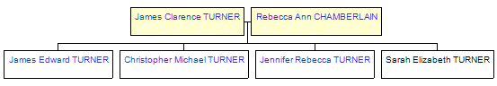 Mini tree diagram