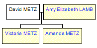 Mini tree diagram