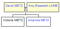 Mini tree diagram