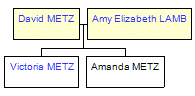 Mini tree diagram