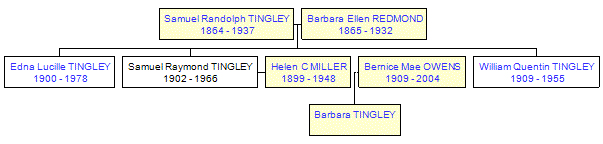 Mini tree diagram