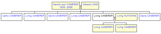 Mini tree diagram