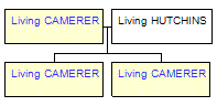 Mini tree diagram