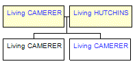 Mini tree diagram